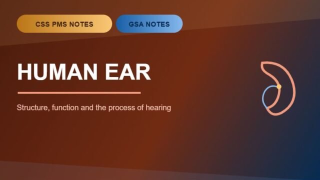 Thumbnail for CSS PMS Notes and GSA Notes: Human Ear.