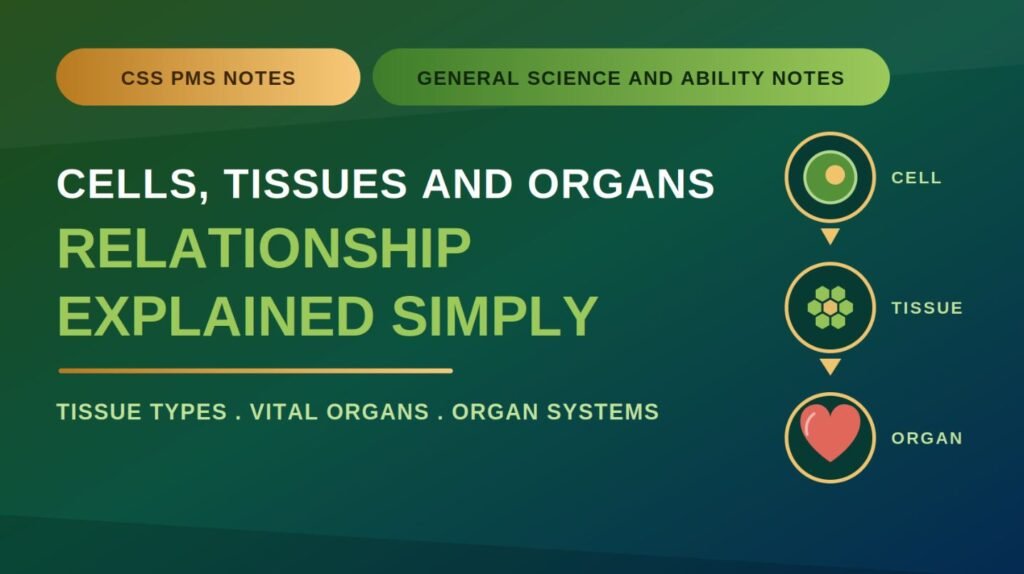 CSS PMS General Science and Ability notes thumbnail titled “Cells, Tissues and Organs: Relationship Explained Simply,” showing a cell, tissue, and heart icon connected by arrows on a dark green gradient background.